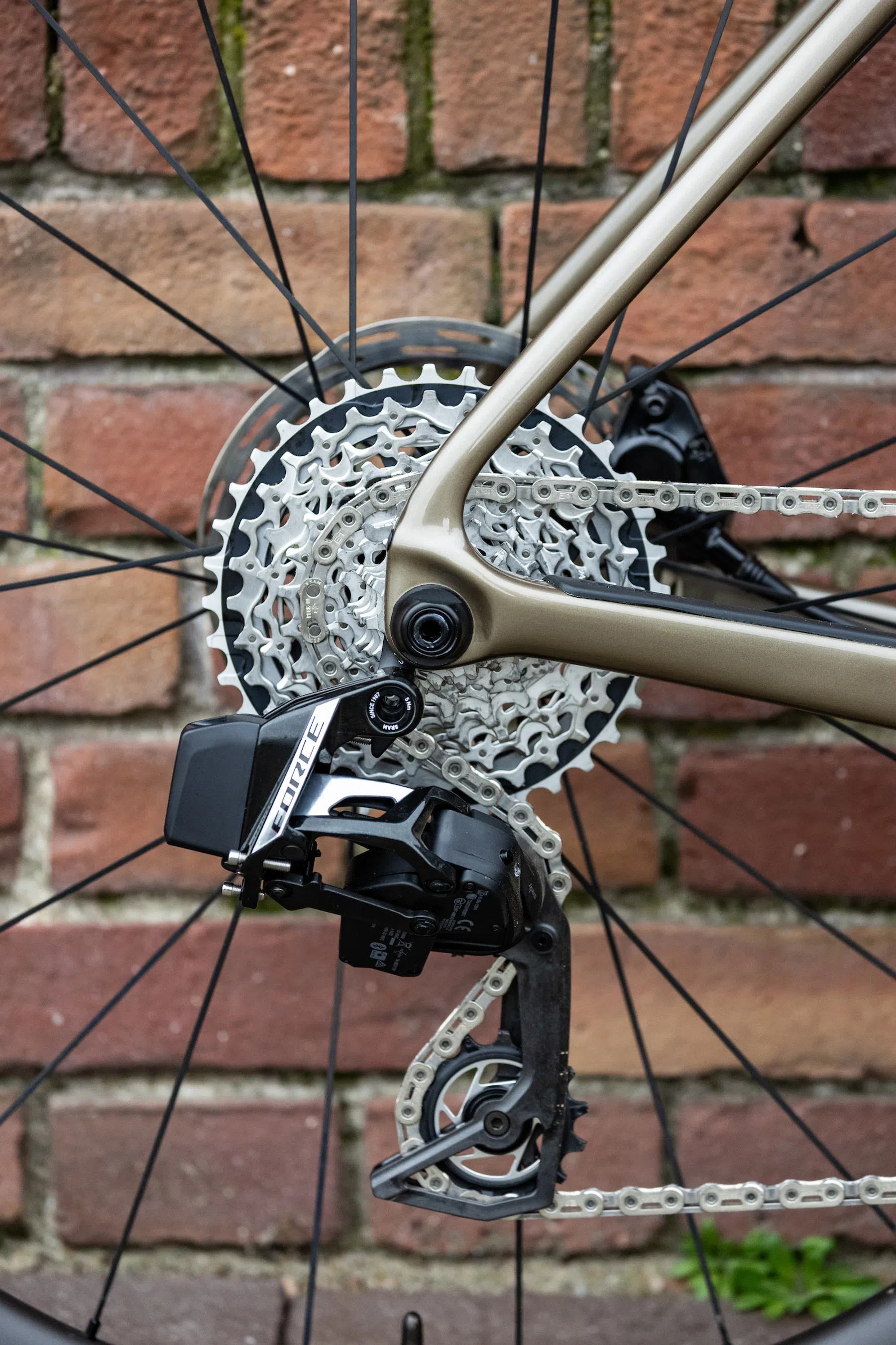 Cervélo Caledonia 2026